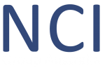 NCI Group